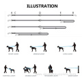 Long Walk Train Your Pet in Multiple Way